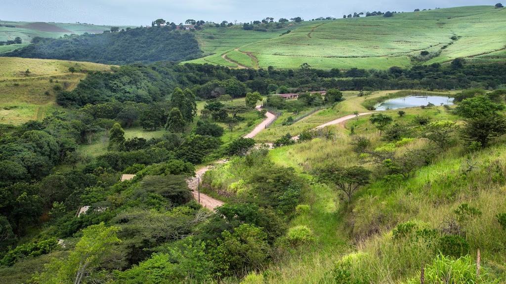 Rain Farm Game Lodge uMhlali 외부 사진