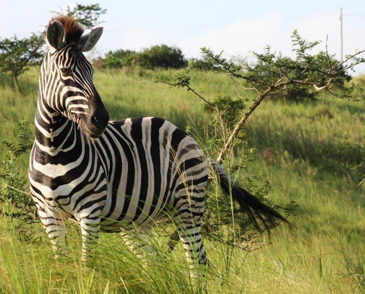 Rain Farm Game Lodge uMhlali 외부 사진